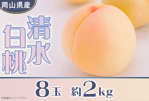 岡山県産 清水白桃８玉（約2.0kg）【26年7月下旬以降に順次発送】