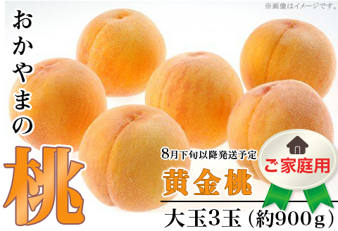 【ご家庭用】おかやまの「黄金桃」 大玉3玉（約900g）【26年8月下旬以降に順次発送】