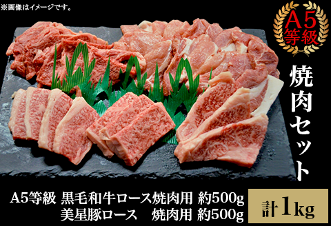 焼肉セット1kg（4～5人用）A5等級 黒毛和牛ロース 約500gと美星豚ロース 約500g 岡山県産