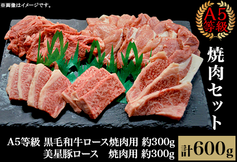 焼肉セット600g（2～3人用）A5等級 黒毛和牛ロース 約300gと美星豚ロース 約300g 岡山県産