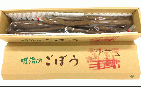 A-06芳井・明治ごぼう【2025年11月～発送予定】