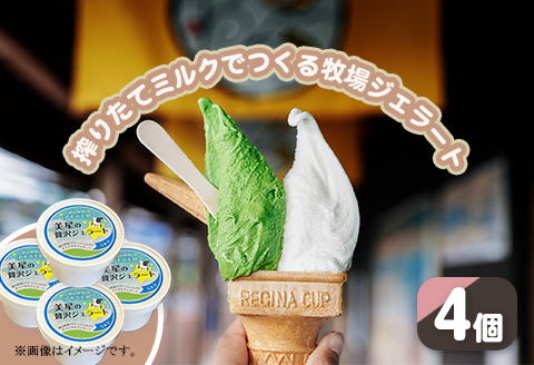 搾りたてミルクでつくるジェラート4個セット（徳山牧場アイス工房）