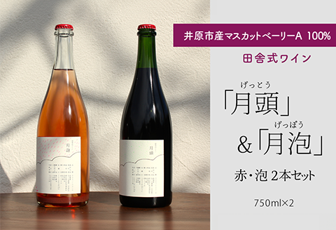 田舎式ワイン「月頭」＆「月泡」２本セット