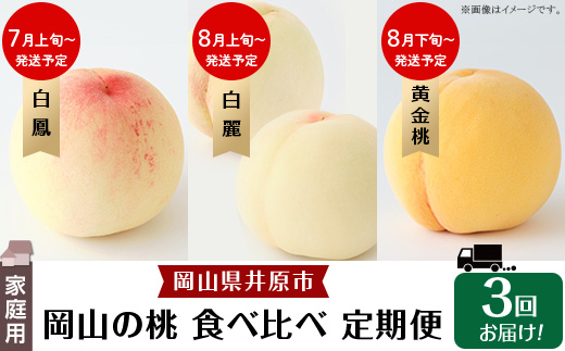 岡山の桃 食べ比べ定期便（年3回）【2026年産】