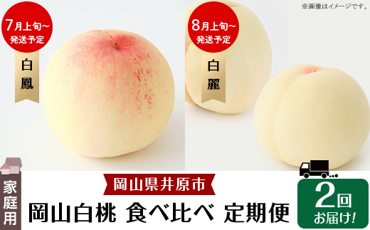 岡山白桃 食べ比べ定期便（年2回）【2026年産】