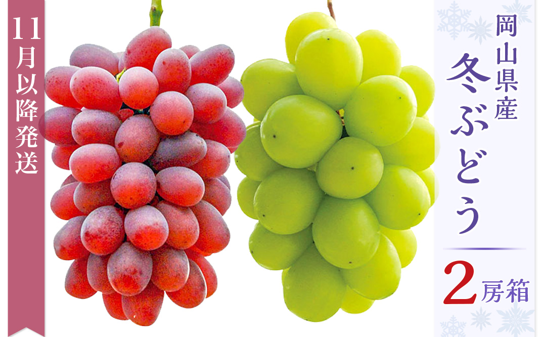 岡山県産冬ぶどう2房【2026年11月以降発送】（いばら愛菜館）