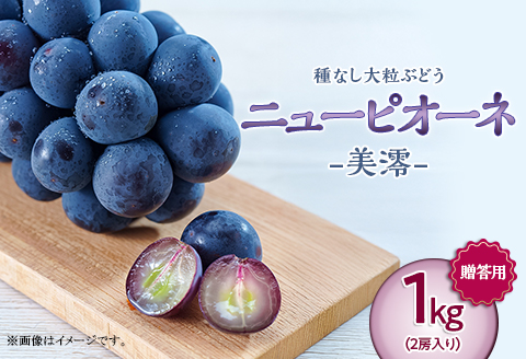 岡山県井原市美星町産 ニューピオーネ「美澪」 １kg箱（2房入り）贈答用【2026年8月下旬～9月中旬発送予定】