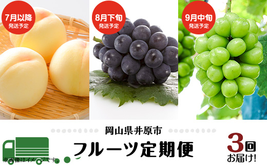 フルーツ 定期便 年3回 2026先行予約 岡山 シャインマスカット 晴王 黒ぶどう 白桃 旬 果物 岡山県産 ブドウ もも くだもの お楽しみ定期便