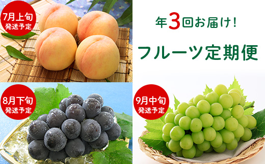 フルーツ 定期便 年3回 2026 先行予約 岡山 晴王 シャインマスカット 黒ぶどう 白桃 旬 果物 岡山県産 ブドウ もも くだもの お楽しみ定期便