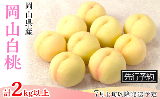 74-10 白桃8～10玉（2kg以上）【2026年7月上旬～8月上旬頃発送予定】
