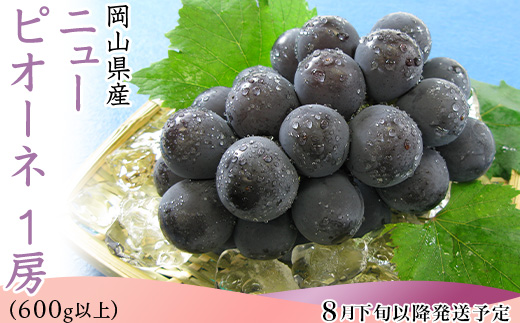 74-11 ニューピオーネ1房（600g以上）【2026年8月下旬～9月下旬頃発送予定】