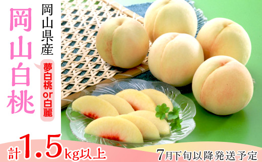 74-14 白桃5～7玉（夢白桃もしくは白麗）【2026年7月下旬～8月上旬発送予定】