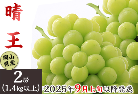 74-17 「晴王」2房（1.4kg以上）【2026年9月上旬～10月上旬発送予定】