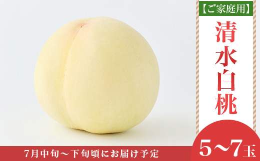 【ご家庭用】岡山白桃 清水白桃 5～7玉【2026年7月中旬頃から順次発送】