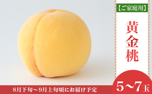 【ご家庭用】岡山県産 黄金桃 5～7玉【2026年8月下旬頃から順次発送】
