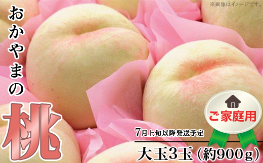 【ご家庭用】おかやまの桃 大玉3玉（約900g）【26年7月上旬以降に順次発送】