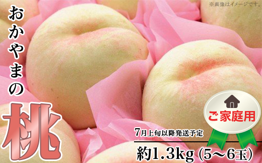 【ご家庭用】おかやまの桃 約1.3kg（5～6玉）【26年7月上旬以降に順次発送】