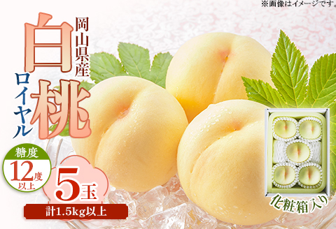 岡山県産 白桃ロイヤル 5玉（1.5kg以上）化粧箱入り【2026年7月上旬～8月中旬発送予定】