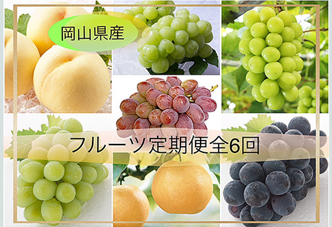 岡山県産 フルーツ定期便 全6回【2026年産】