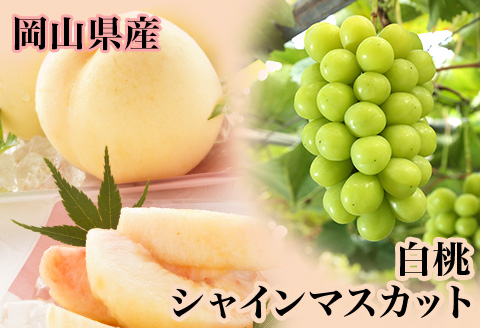 詰合せ 白桃2玉(1玉220g以上)・シャインマスカット「晴王」2房(1房480g以上) 化粧箱入り【2026年7月下旬～8月中旬発送予定】