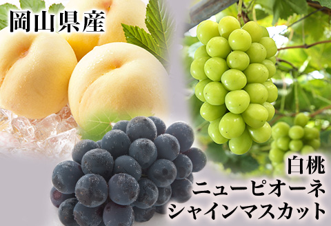詰合せ 白桃2玉(1玉220g以上)・ニューピオーネ1房(480g以上)・シャインマスカット「晴王」１房(480g以上) 化粧箱入り【2026年7月下旬～8月中旬発送予定】