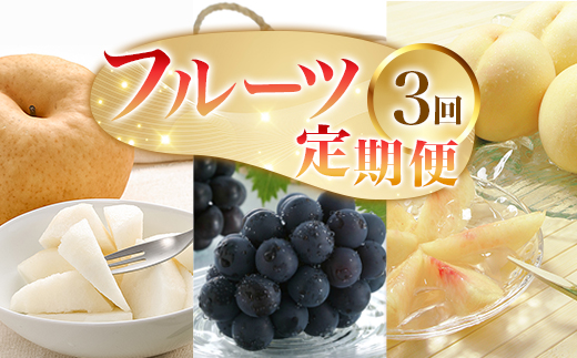 フルーツ 定期便 3回 フルーツ 定期便 先行予約 桃 ぶどう 梨 3回（岡山白桃・ピオーネ・あたご梨）