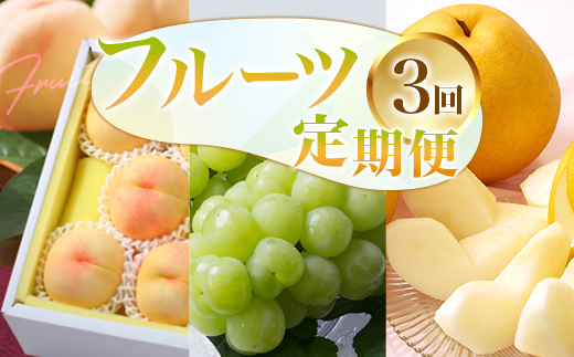 フルーツ 定期便 先行予約 桃 ぶどう 梨 3回（清水白桃・瀬戸ジャイアンツ・あたご梨）