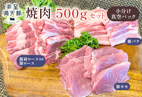 美星満天豚 焼肉 500gセット（豚肩ロース又は豚ロース、豚バラ、豚モモ）小分け真空パック