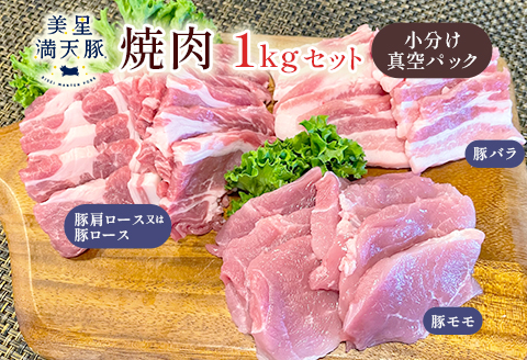 美星満天豚 焼肉 1.0kgセット（豚肩ロース又は豚ロース、豚バラ、豚モモ）小分け真空パック