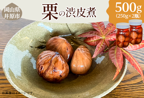 栗の渋皮煮 500g(250g×2瓶)