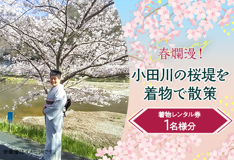 春爛漫！小田川の桜堤を着物で散策(着物レンタル券) 1名様