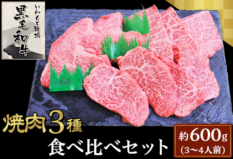 焼肉３種食べ比べセット約600g(3～4人前)【いわもと黒毛和牛】