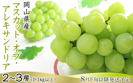 74-19 マスカット･オブ･アレキサンドリア2～3房（計1kg以上）【2026年8月下旬～9月下旬発送予定】