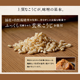 五百の春（玄米味噌）750g【まるみ麹本店】013-001