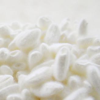 麹屋のはじめての味噌づくりセット（樽つき）【まるみ麹本店】019-009