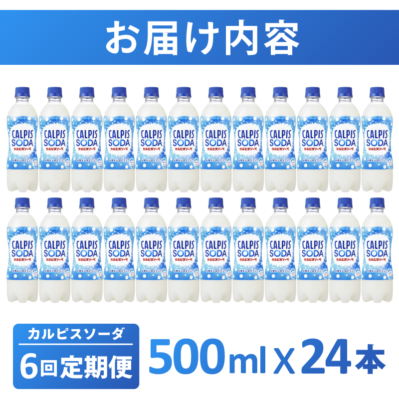 【定期便】カルピスソーダ（500mL×24本）〔6回配送〕078-002