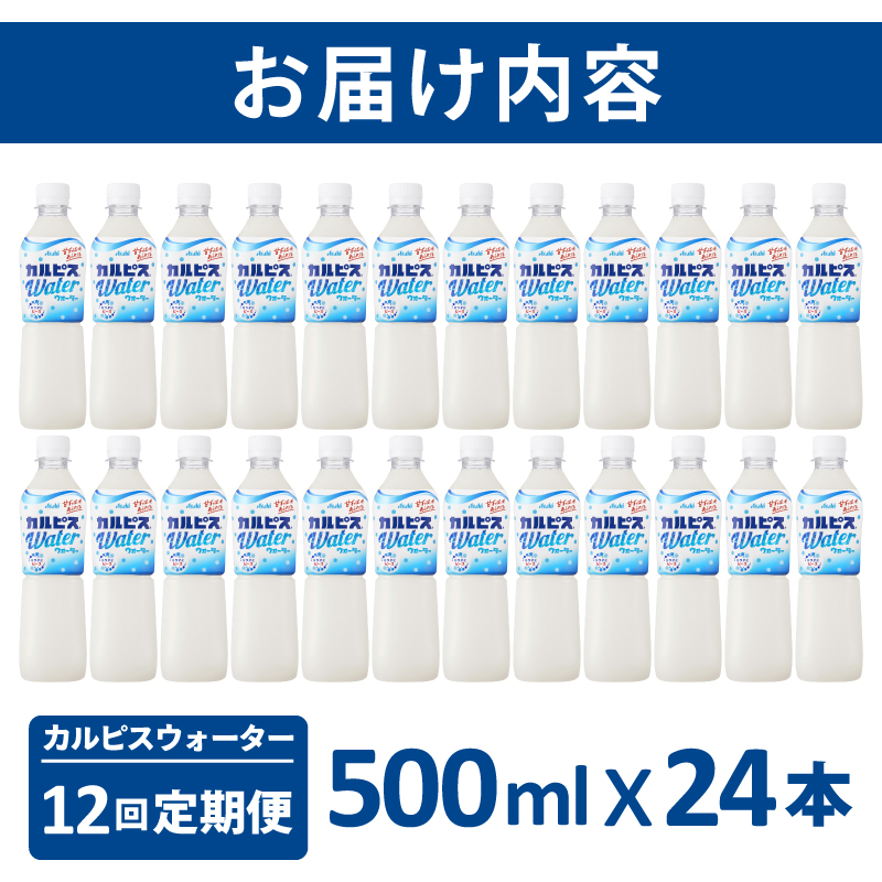 【定期便】カルピスウォーター（500mL×24本）〔12回配送〕156-001
