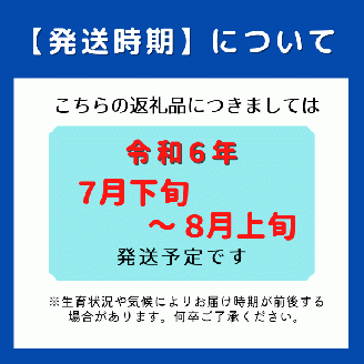 「守安さんのアールスメロン」1玉（大玉）岡山県総社市産【2024年産先行予約】24-012-001