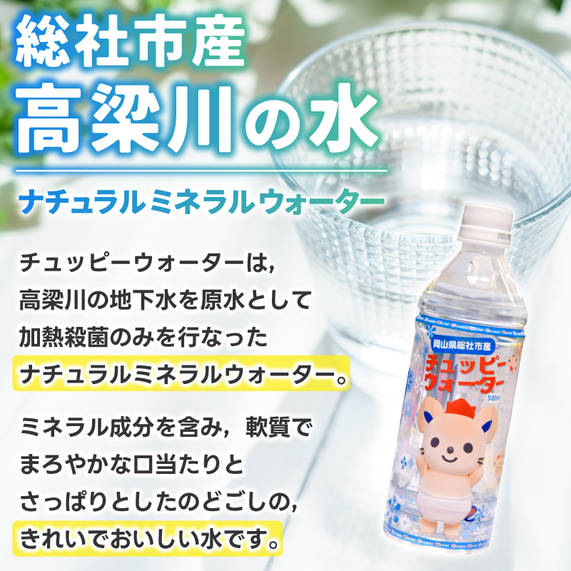 【定期便】そうじゃの水「チュッピーウォーター」（500ml×24本）〔12回配送〕156-007