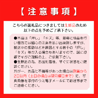 「守安さんのアールスメロン」1玉（大玉）岡山県総社市産【2024年産先行予約】24-012-001