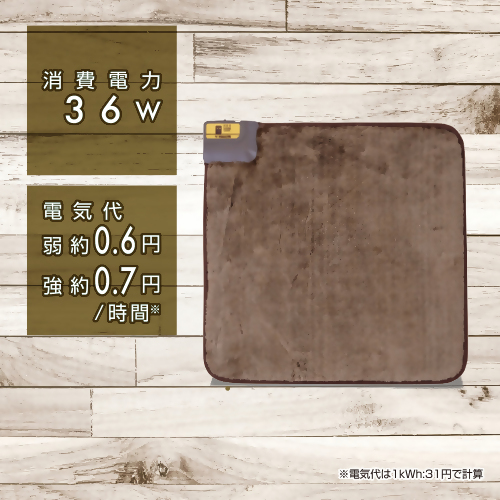 【ふるさと納税】電気マットW450×D450×H25mmサイズ 【YMM-W45BF】 016-005