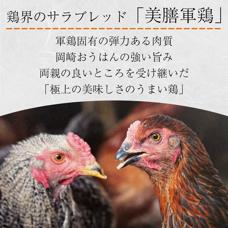 【美膳軍鶏総菜】詰め合わせ（7種）020-018