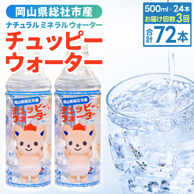 【定期便】そうじゃの水「チュッピーウォーター」（500ml×24本）〔3回配送〕039-008