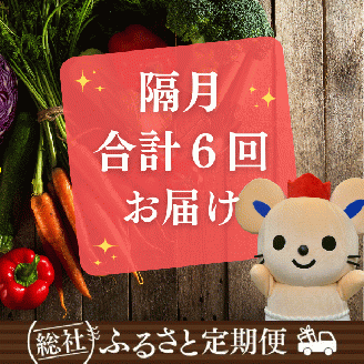 【隔月6回】そうじゃふるさと定期便（季節の野菜・特産品・加工品）072-003
