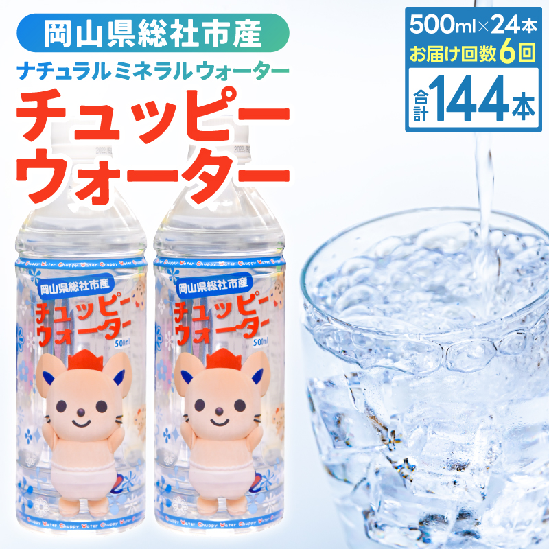 【定期便】そうじゃの水「チュッピーウォーター」（500ml×24本）〔6回配送〕078-007