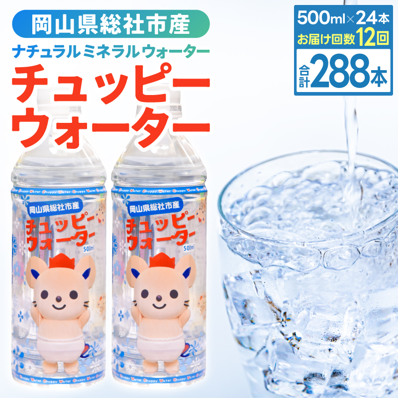 【定期便】そうじゃの水「チュッピーウォーター」（500ml×24本）〔12回配送〕156-007