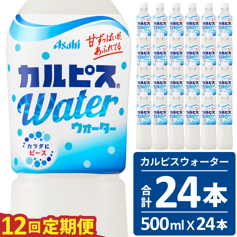 【定期便】カルピスウォーター（500mL×24本）〔12回配送〕156-001