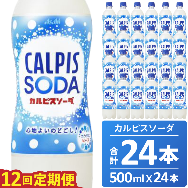 【定期便】カルピスソーダ（500mL×24本）〔12回配送〕156-002
