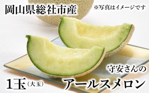 「守安さんのアールスメロン」1玉（大玉）岡山県総社市産【2024年産先行予約】24-012-001