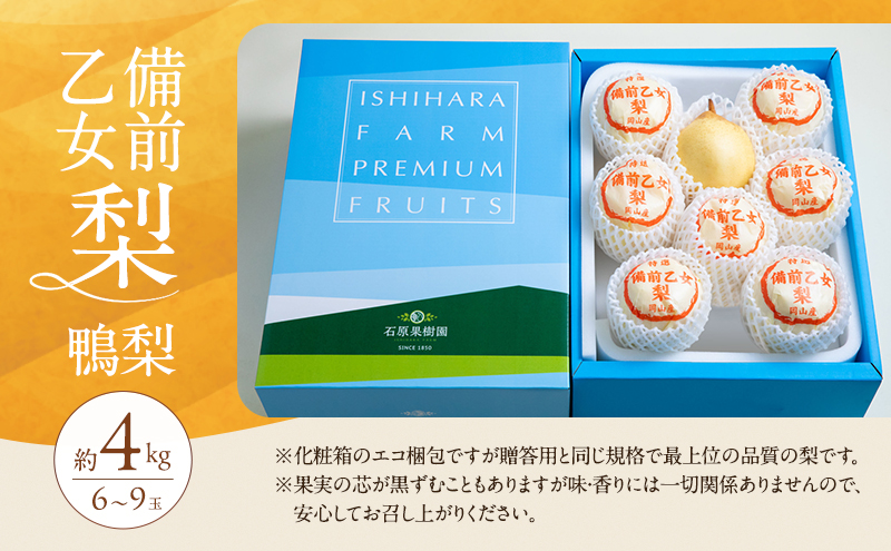 梨 2026年 先行予約 備前乙女梨（鴨梨） 6～9玉 合計約4kg【11月下旬～12月中旬頃発送】 ナシ なし 岡山県産 国産 フルーツ 果物 ギフト 石原果樹園 風味豊か 上品 希少な梨